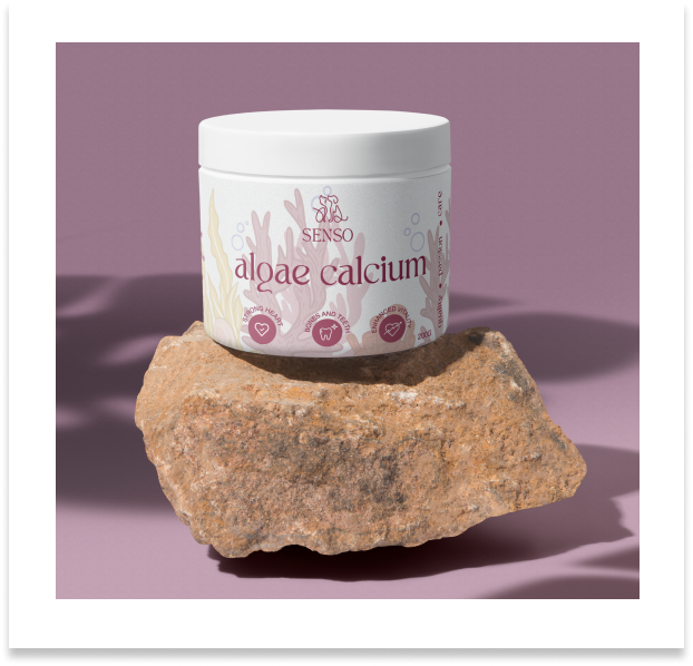 Refined Algae Calcium dog supplement packaging design, showcasing a modern and elegant aesthetic for a premium look.