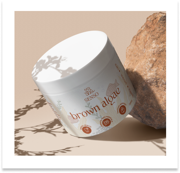 Sophisticated packaging design for Brown Algae dog supplement, with clean lines and earthy tones for a premium feel.